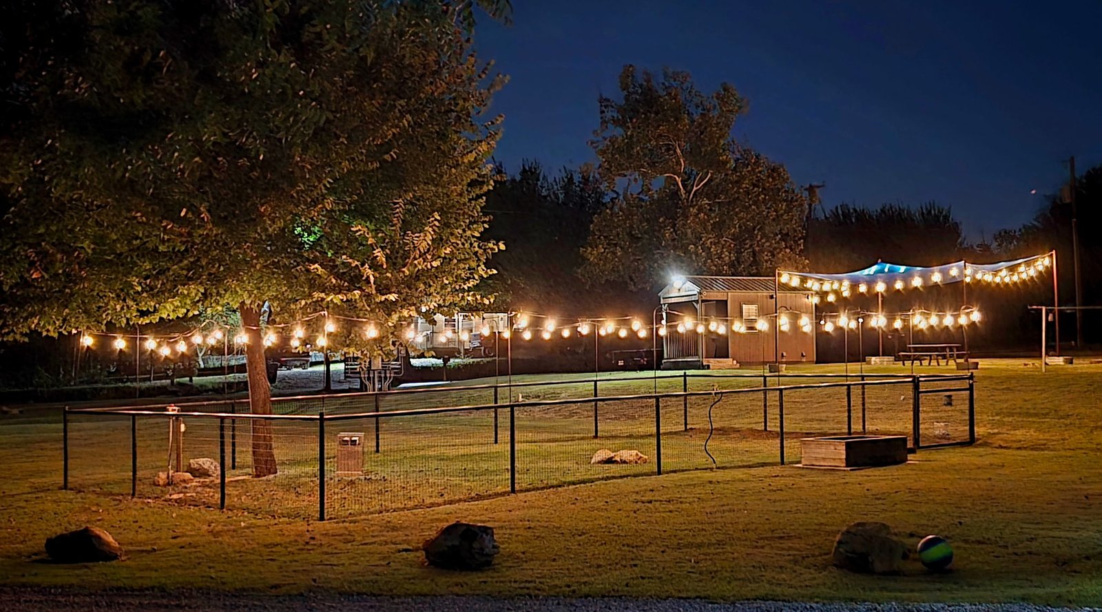 Night Lights For The Dog Park